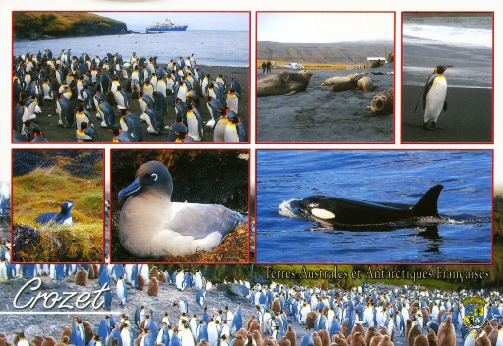 Crozet Islands FT5WO DX News